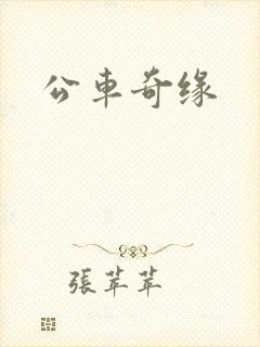 公车奇缘