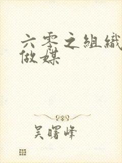 六零之组织给我做媒