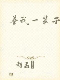 养我一辈子封面