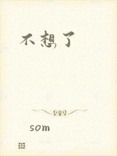 不想了封面