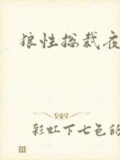 狼性总裁夜欢宠