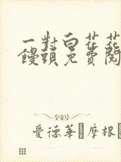 一对白花花的大馒头免费阅读