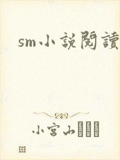 sm小说阅读