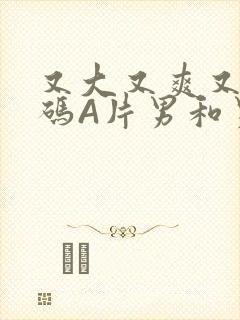 又大又爽又黄无码A片男和男