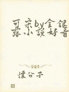 可宋by金银花露小说好看吗