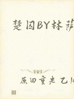 楚囚BY林萨