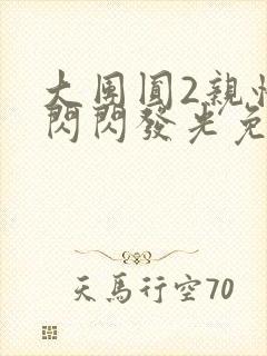 大团圆2亲情会闪闪发光免费封面