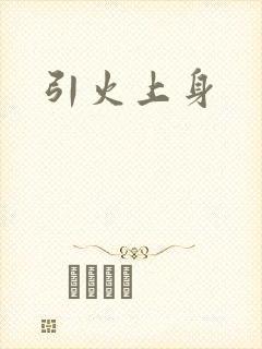 引火上身封面