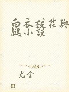 白衣校花与大长腿小说