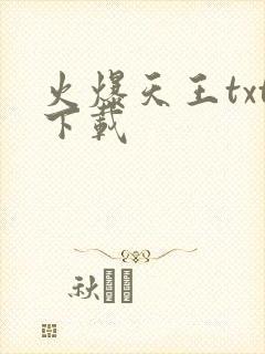 火爆天王txt下载