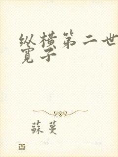 纵横第二世界 宽子封面