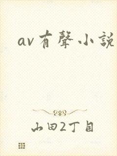 av有声小说