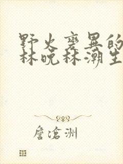 野火变异的父爱林晚林潮生