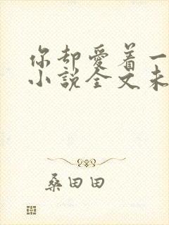 你却爱着一个他小说全文未删减免费封面