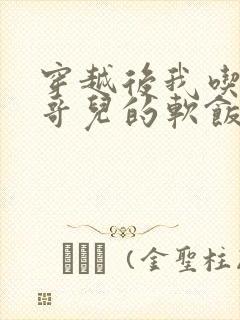 穿越后我吃到了哥儿的软饭炉山灰