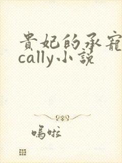 贵妃的承宠日常cally小说