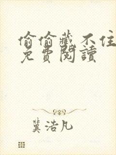 偷偷藏不住小说免费阅读