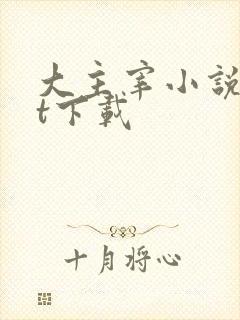 大主宰小说txt下载