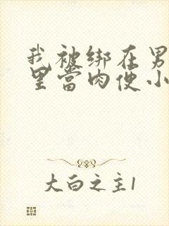 我被绑在男公厕里当肉便小说