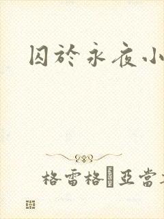 囚于永夜小说封面