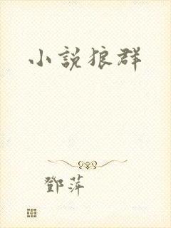 小说狼群