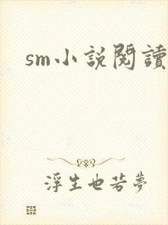 sm小说阅读