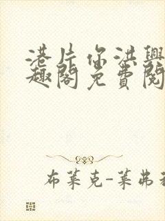 港片你洪兴仔笔趣阁免费阅读全文封面