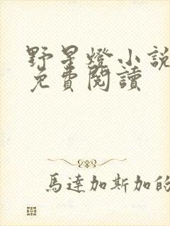 野星灯小说全文免费阅读