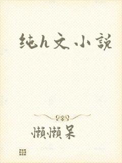 纯h文小说