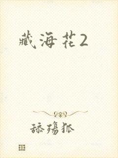 藏海花2
