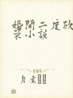 婚开二度欣欣向荣小说