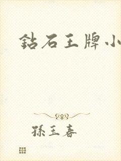 钻石王牌小说封面