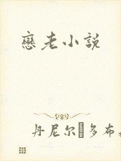 恋老小说封面