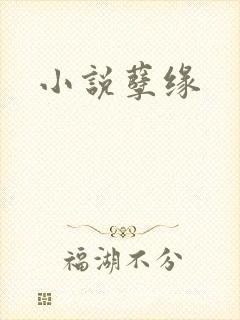 小说孽缘
