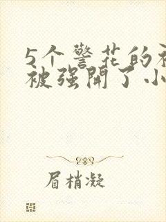 5个警花的初苞被强开了小说