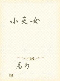 小天女封面
