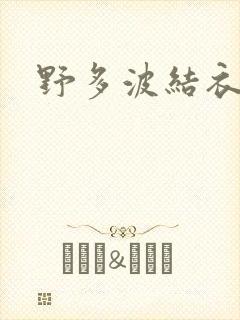 野多波结衣封面