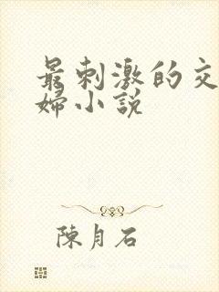 最刺激的交换夫妇小说