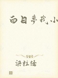 白日梦我小说封面