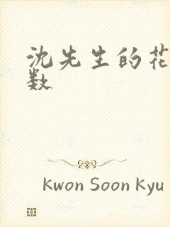 沈先生的花式调数封面