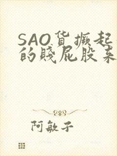 SAO货撅起你的贱屁股来封面