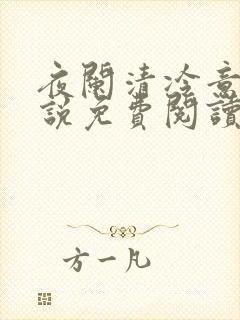 夜阑清冷意欢小说免费阅读