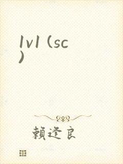 1v1 (sc)封面