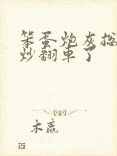 笨蛋炮灰总被爆炒翻车了