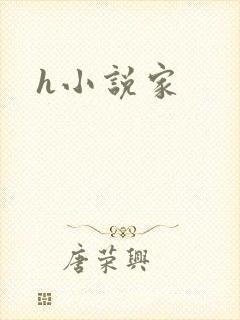 h小说家