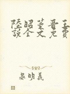 陆昭菱晋王的小说全文免费阅读