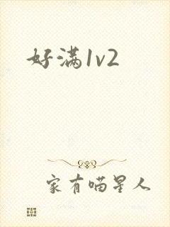 好满1v2