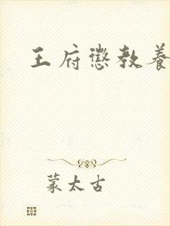 王府惩教养日常