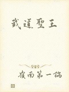 武道圣王