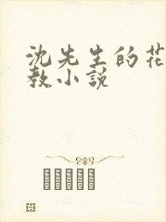 沈先生的花式管教小说封面